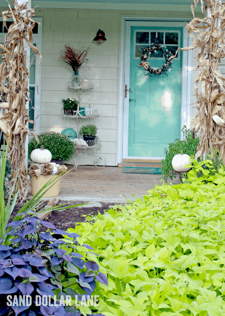 aqua door with white pumpkins