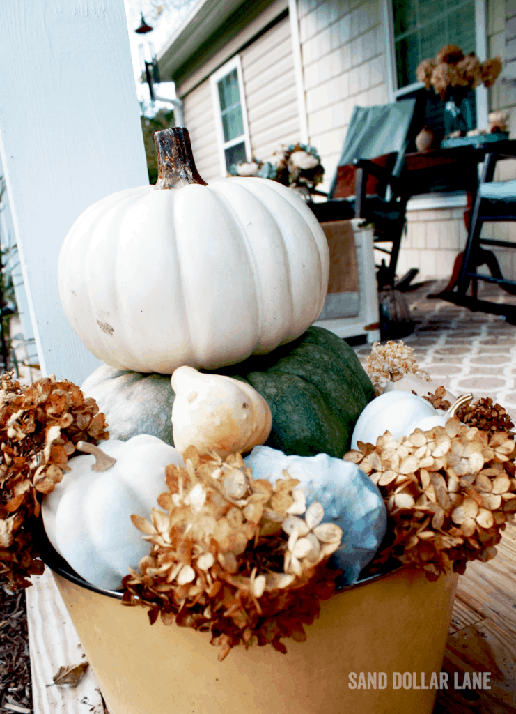 Pumpkin stack with seashells and dried hydrangeas