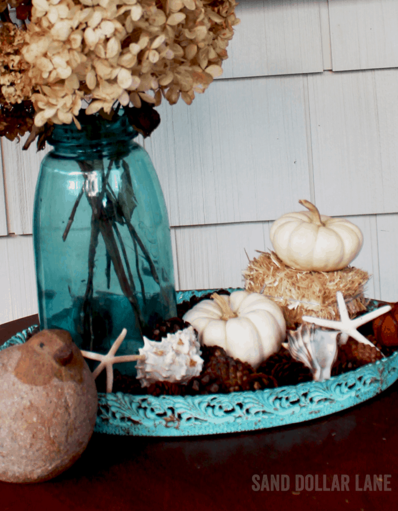 White pumpkin and starfish go perfectly together!