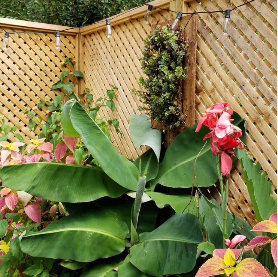 privacy screen and planter