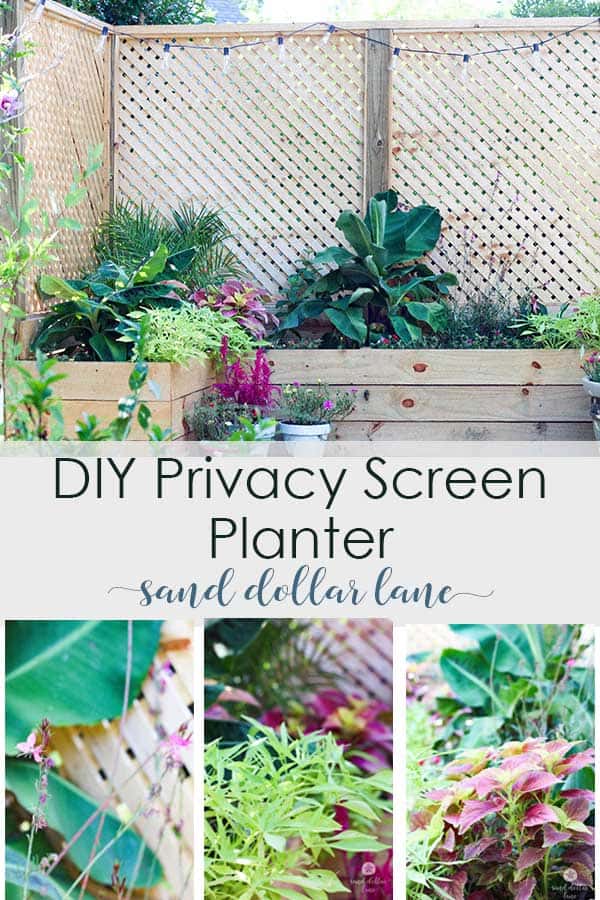 privacy screen planter