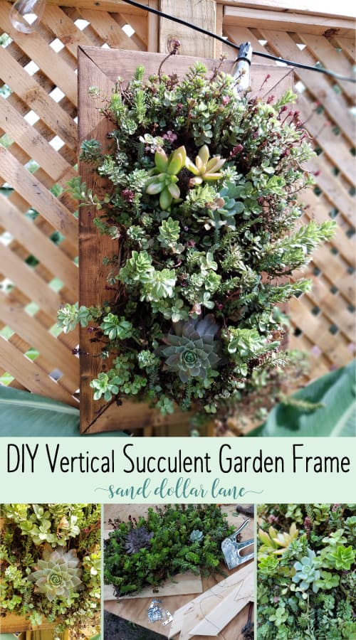 DIY vertical succulent garden frame