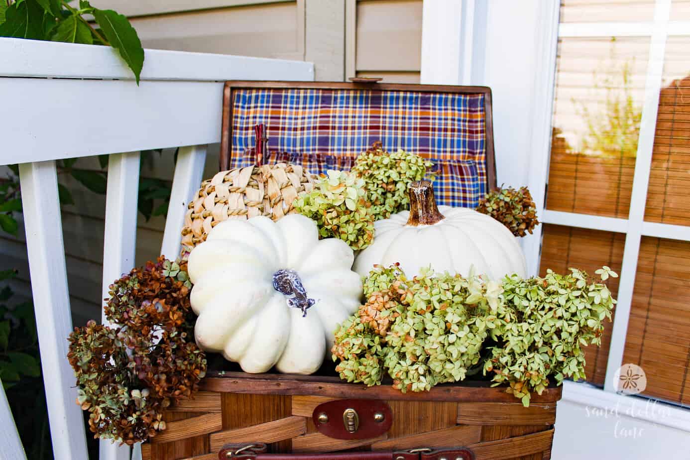 white pumpkins for fall decoration