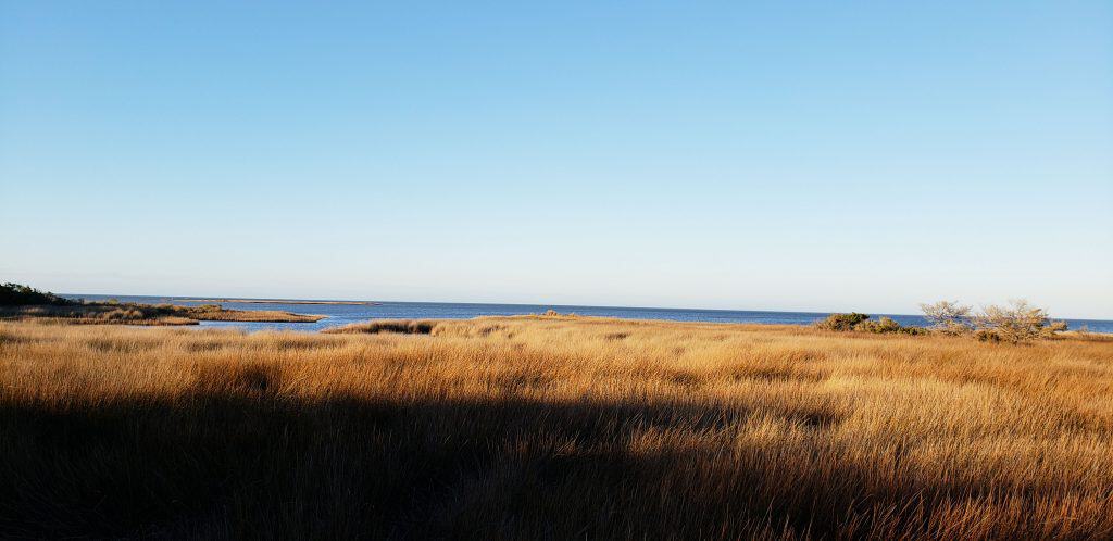 winter vacation in ocracoke nc sound view #ocracoke #visitobx #visitnc #coastalexploring