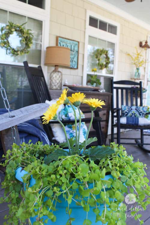 yellow flowers on front porch