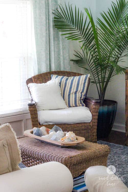 palm tree and wicker chair