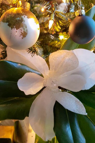 magnolia flower