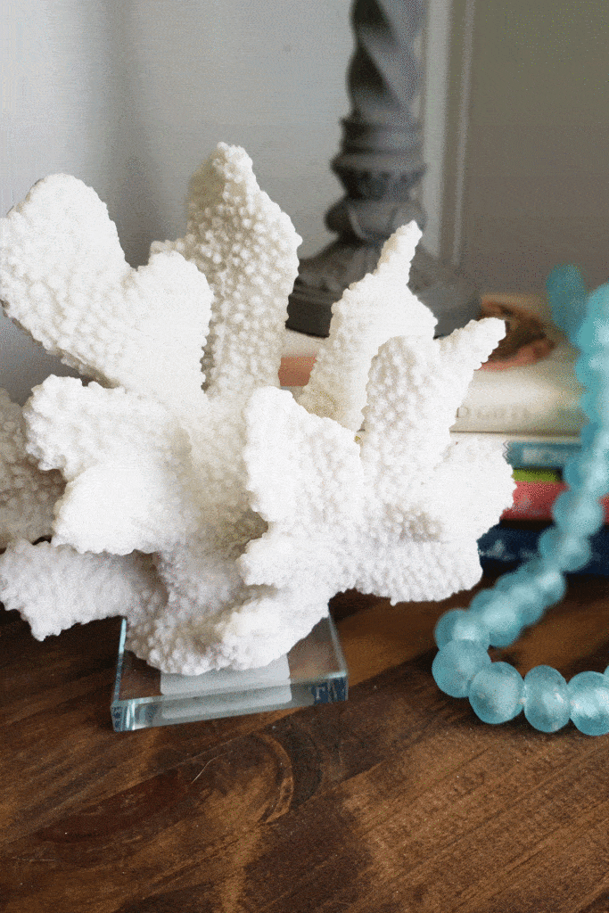 white coral on desk