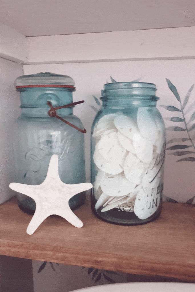 sand dollars in teal Ball jar