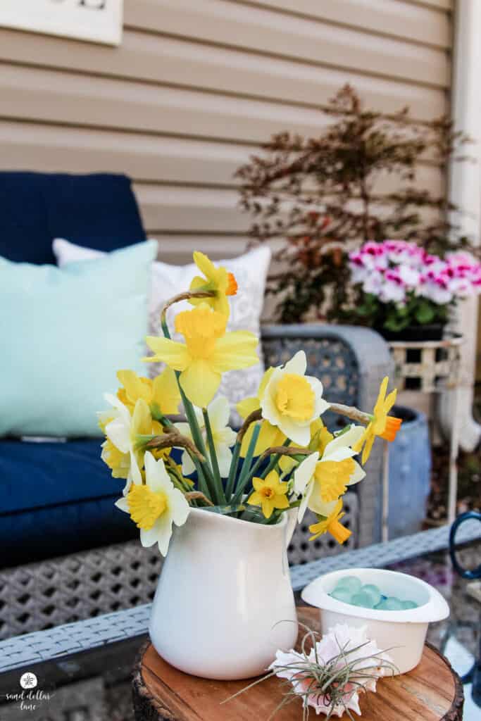 yellow daffodils in white creamer