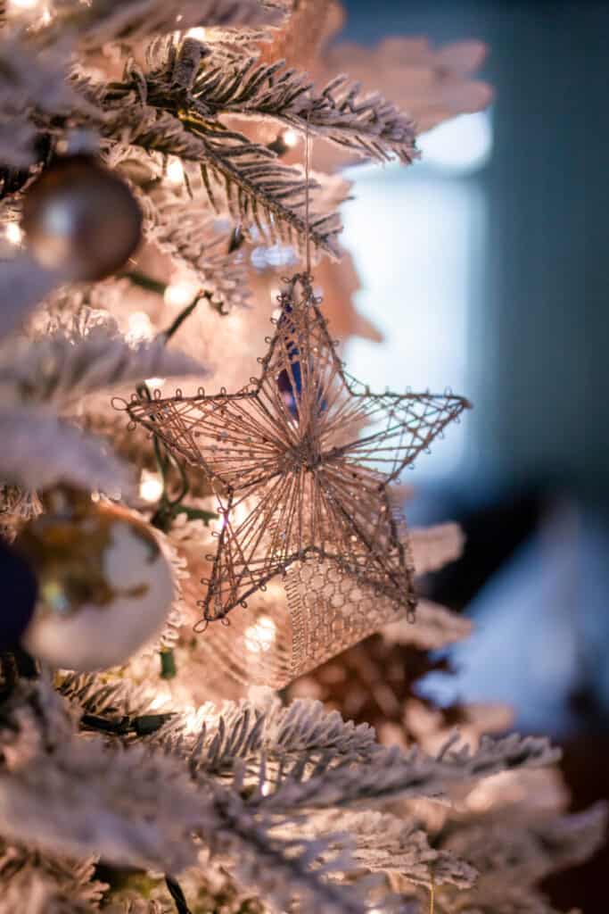 gold star on Christmas tree