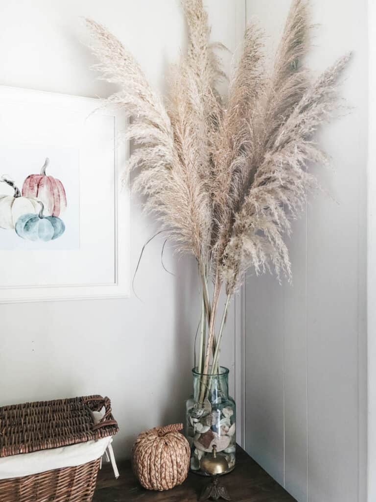 pampas grass on mudroom table