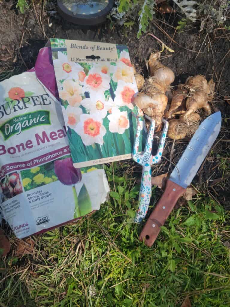 tools need to plant daffodils