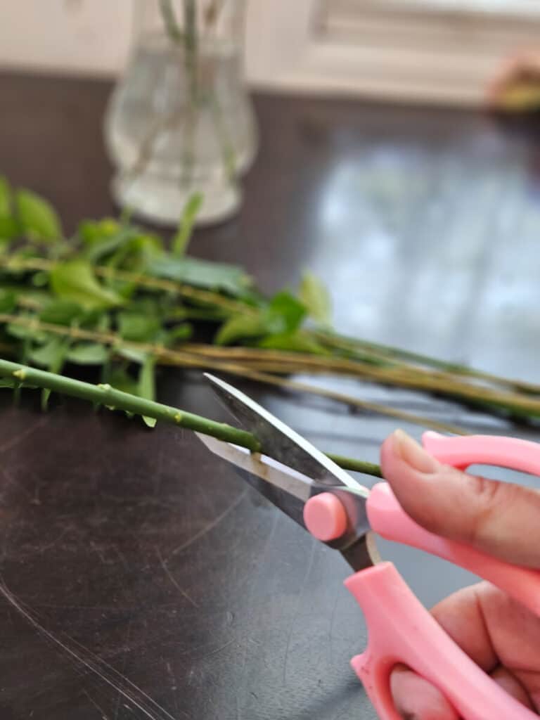 cutting flower stem for fall flower arrangement