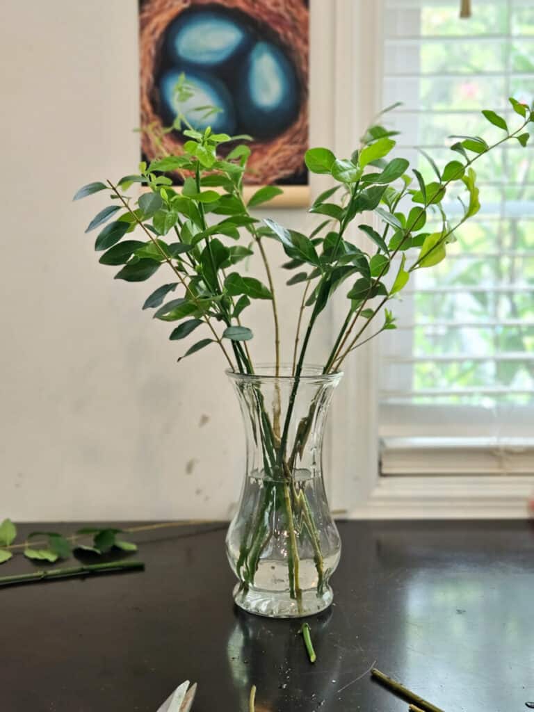 green stems in clear vase