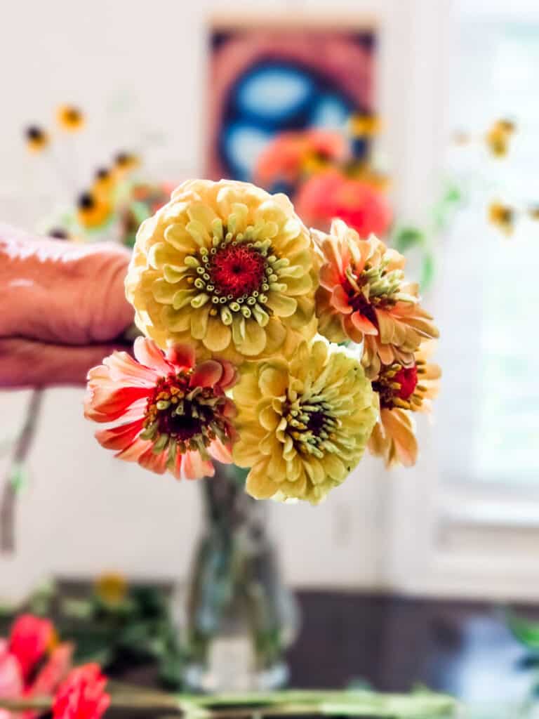 zinnia flowers