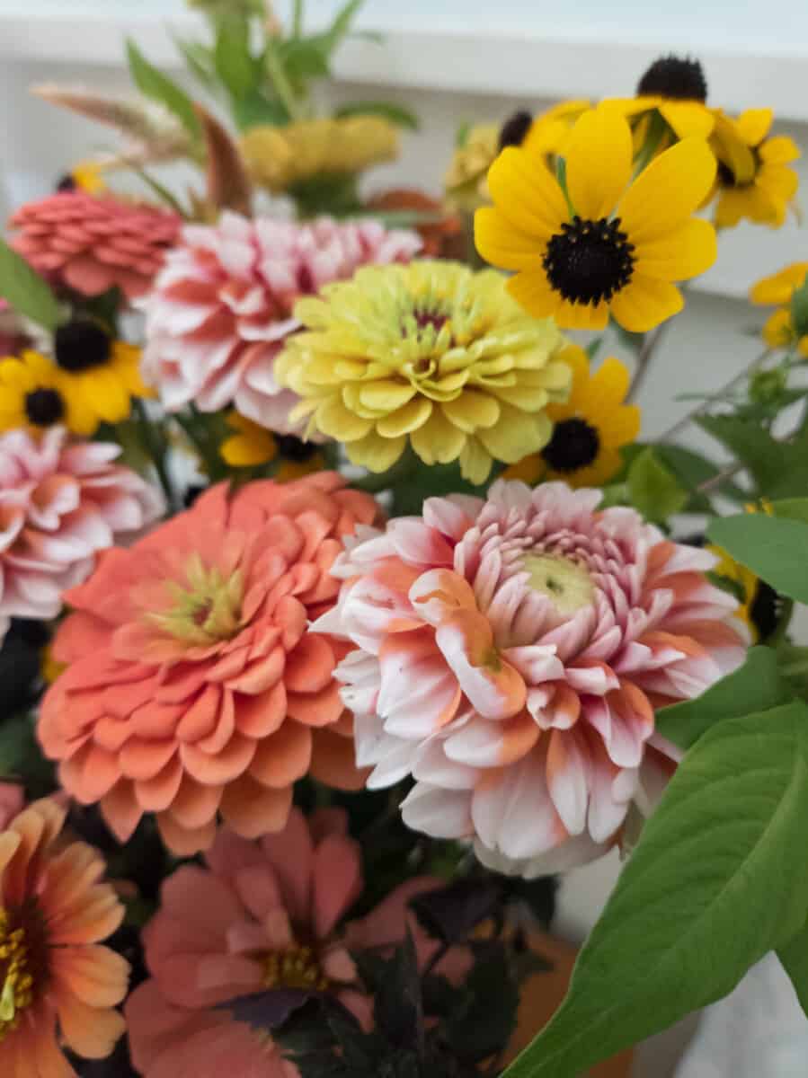 Early Fall Flower Arrangement